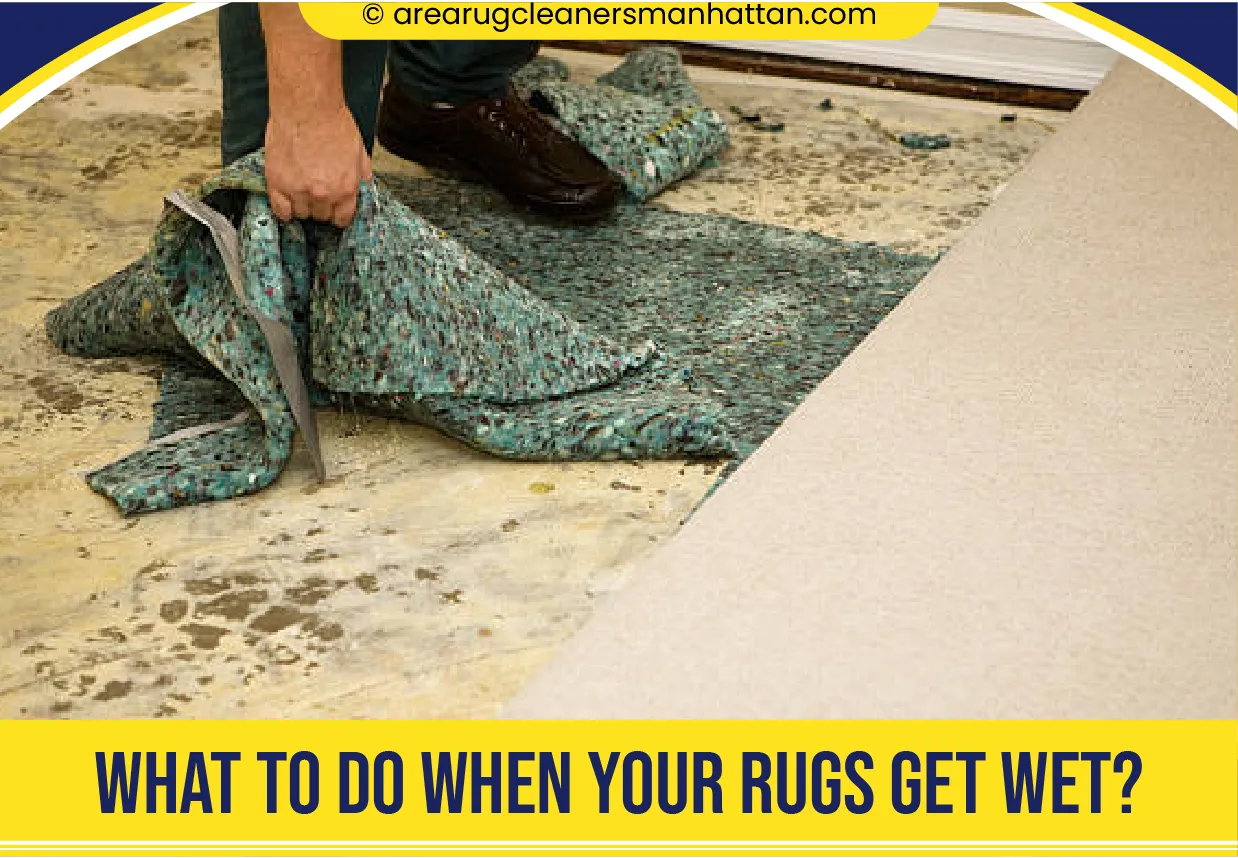 carpet cleaning in manhattan, carpet cleaning manhattan, carpet cleaners in manhattan, carpet cleaners in manhattan, commercial carpet cleaning, commercial carpet cleaning in manhattan, manhattan rug cleaners, rug cleaning services in manhattan, same day carpet cleaning, same day rug cleaning in manhattan