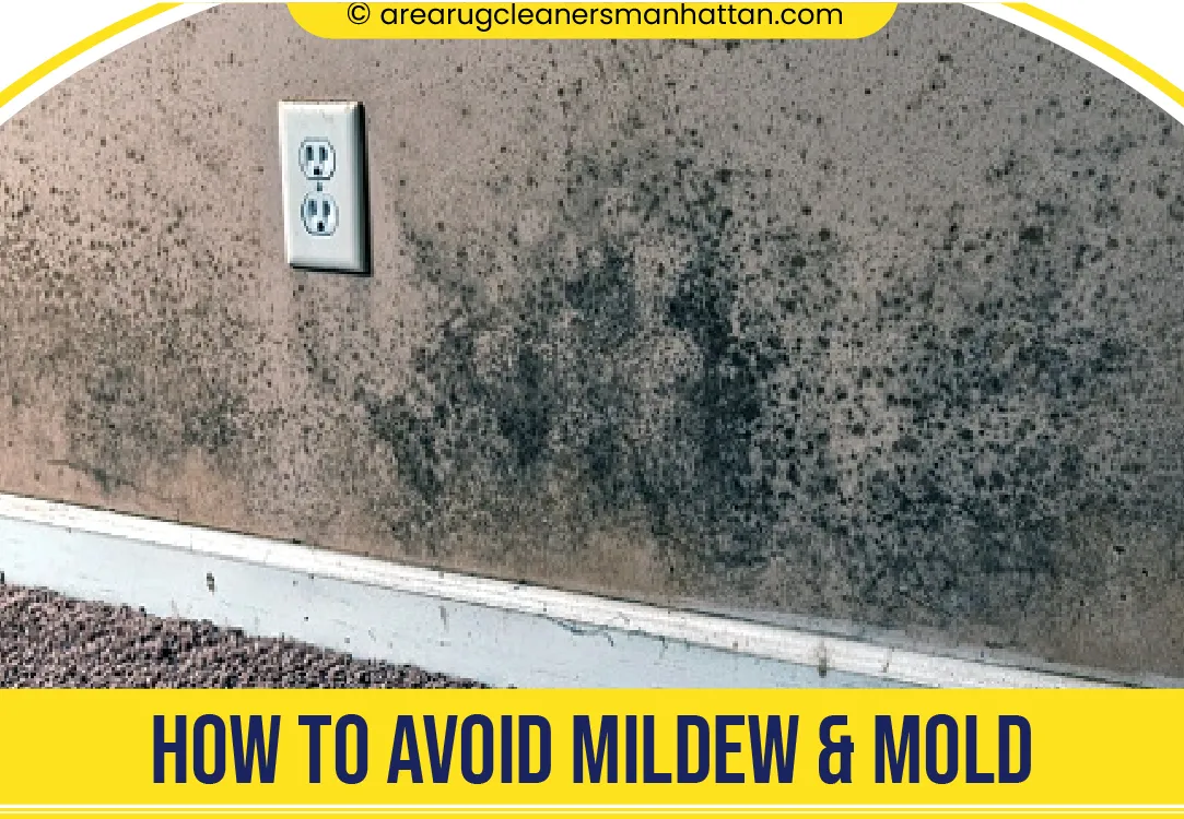 carpet cleaning in manhattan, carpet cleaning manhattan, carpet cleaners in manhattan, carpet cleaners in manhattan, commercial carpet cleaning, commercial carpet cleaning in manhattan, manhattan rug cleaners, rug cleaning services in manhattan, same day carpet cleaning, same day rug cleaning in manhattan