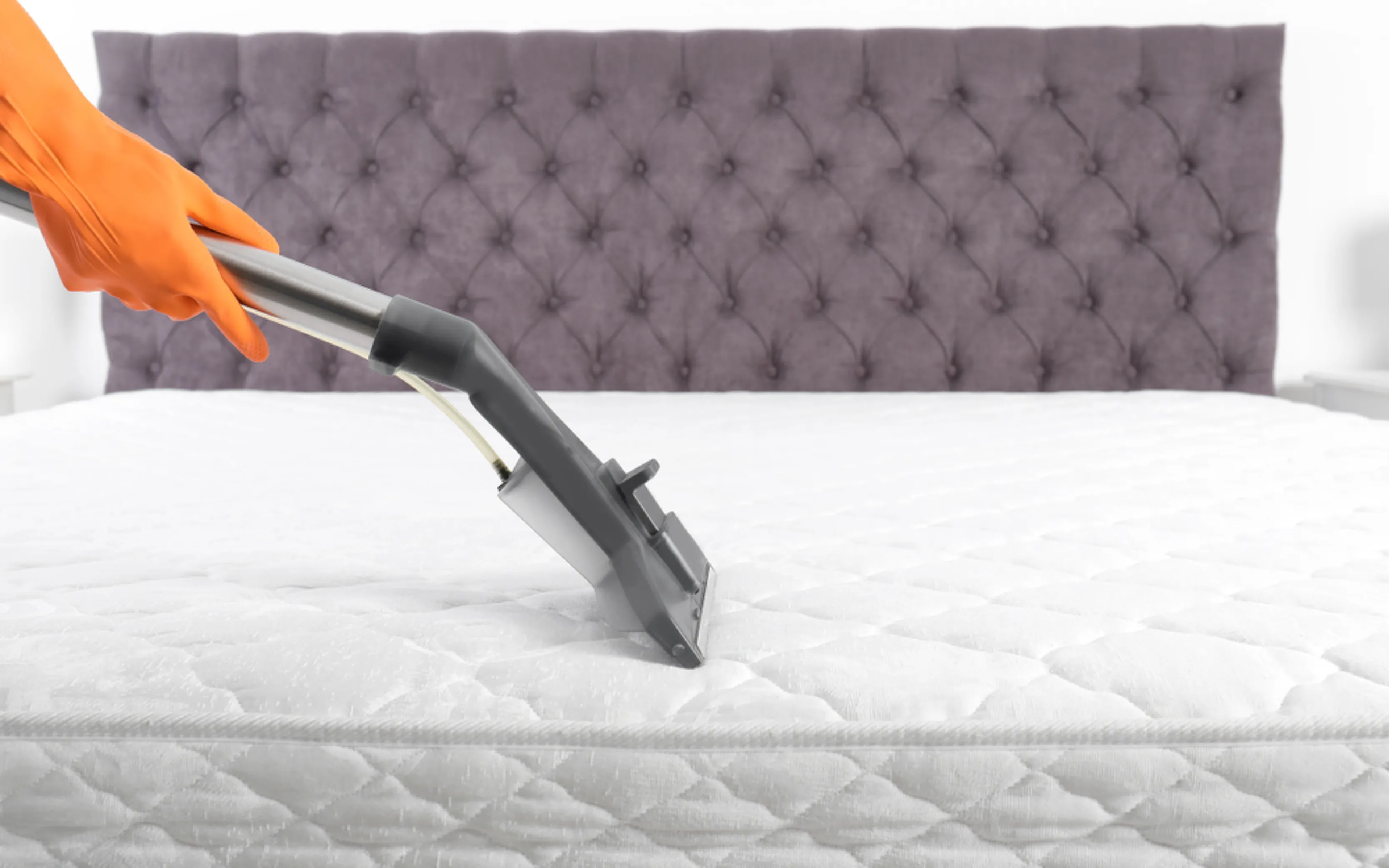 carpet cleaning in manhattan, carpet cleaning manhattan, carpet cleaners in manhattan, carpet cleaners in manhattan, commercial carpet cleaning, commercial carpet cleaning in manhattan, manhattan rug cleaners, rug cleaning services in manhattan, same day carpet cleaning, same day rug cleaning in manhattan