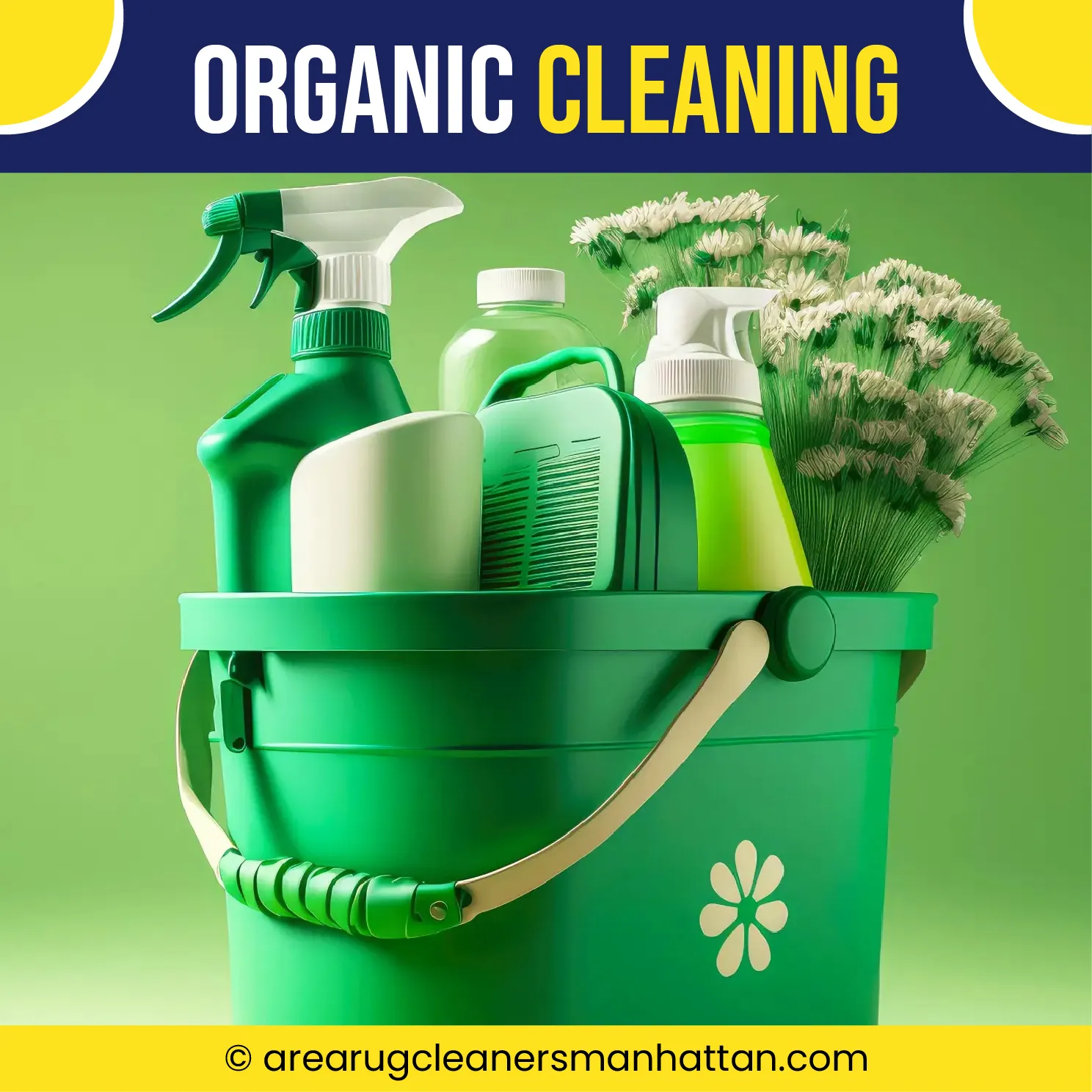 carpet cleaning in manhattan, carpet cleaning manhattan, carpet cleaners in manhattan, carpet cleaners in manhattan, commercial carpet cleaning, commercial carpet cleaning in manhattan, manhattan rug cleaners, rug cleaning services in manhattan, same day carpet cleaning, same day rug cleaning in manhattan