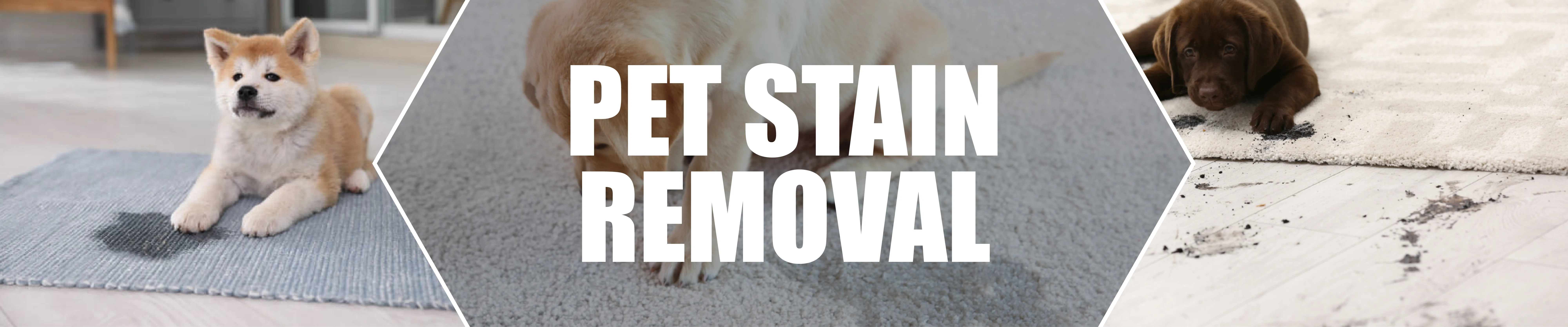 Pet Stain & Odor Removal