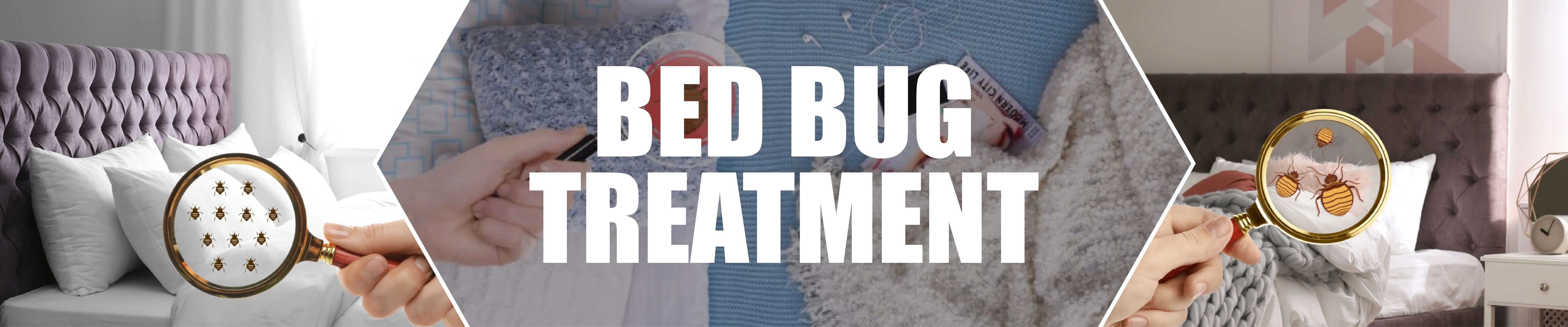 Bed Bug Treatment
