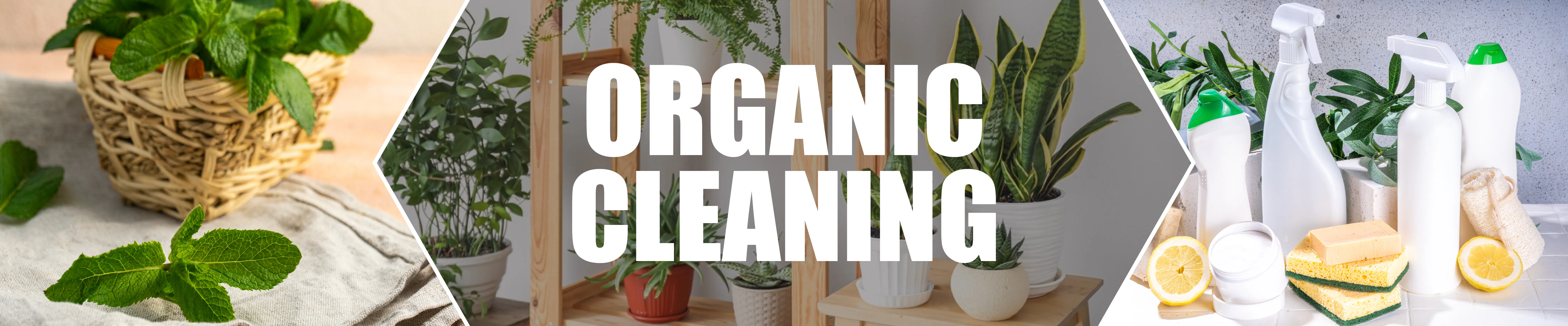 Organic Cleaning